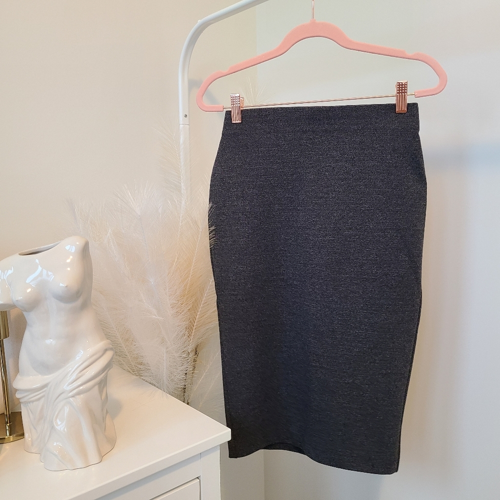 NWOT Pencil skirt